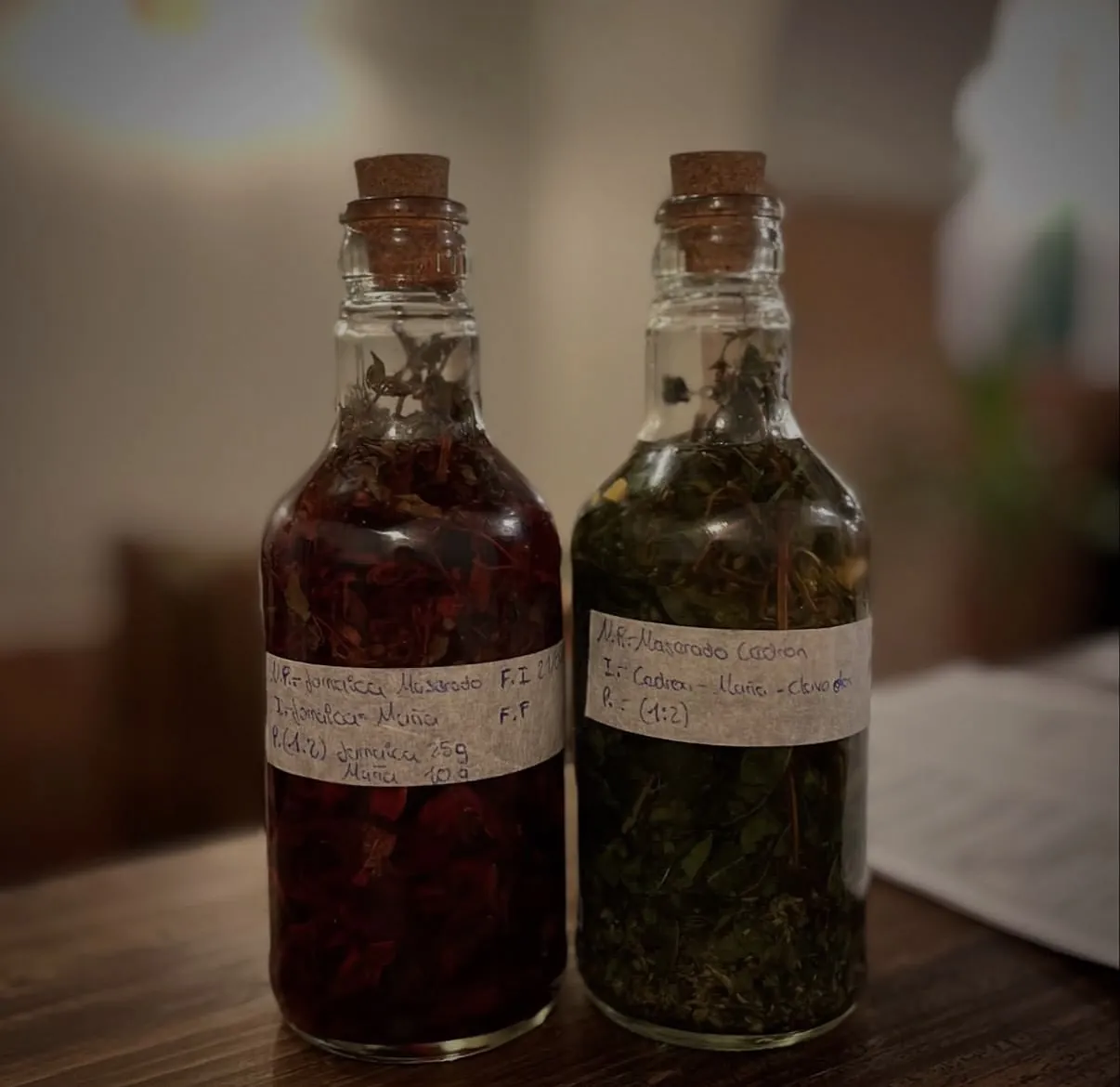 Dos botellas de macerados con hierbas y frutos rojos